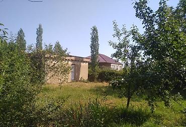 Torpaq sahələrinin satışı: 20 sot, Tikinti, Mülkiyyətçi, Kupça (Çıxarış) — 21