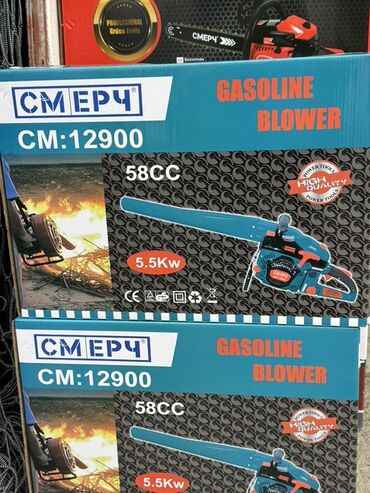 комнатные растения лимон: Бензиновый воздуходув (газовый бловер) и бензопила 1) СМЕРЧ CM-12900