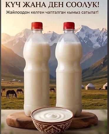 Продукты питания: Таза чапталган жайлоонун кымызы — 1