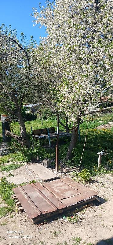 алтын казык ж м: Продаю полдома 5 комнаты +ванна душ. сокулук село первое мая.дом — 8