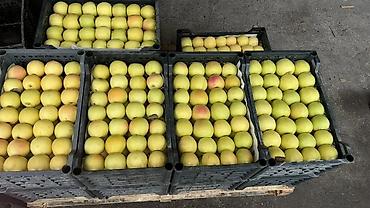 Ящики: Пластиковый Ящик — 17