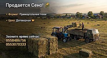 прием кукуруза: Сено — прямоугольные тюки. - Формат: плотные прямоугольные тюки — 1