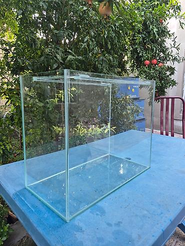 Akvariumlar: Salam iki eded akva satılır biri 70 litr Digeri 25-30 olmalıdı Alan — 6