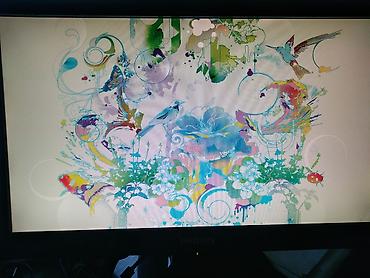 Monitori: Monitor lcd wide philips 191w 19 inča ispravan i očuvan lcd monitor na lalafo.rs — 2 Monitori: Monitor lcd wide philips 191w 19 inča ispravan i očuvan lcd monitor — 2