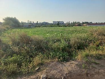 satiliq obyekt: 24 sot, Tikinti, Mülkiyyətçi, Kupça (Çıxarış) — 8