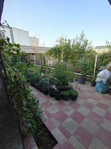 Həyət evləri və villaların satışı: 4 otaqlı, 80 kv. m, Orta təmir -da lalafo.az — 3 Həyət evləri və villaların satışı: 4 otaqlı, 80 kv. m, Orta təmir — 3