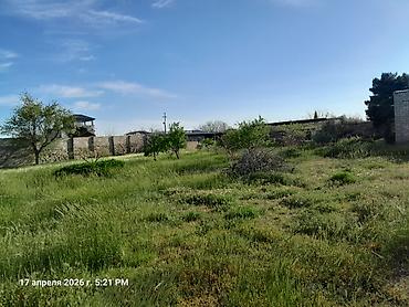 albali: Bakı, 80 kv. m, 3 otaqlı, Hovuzsuz, Su, İnternet, Qaz — 10
