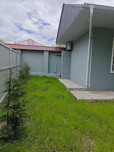 Günlük kirayə evlər: 60 kv. m, 2 otaqlı, İnternet -da lalafo.az — 2 Günlük kirayə evlər: 60 kv. m, 2 otaqlı, İnternet — 2