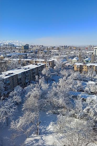 Долгосрочная аренда квартир: 2 комнаты, Собственник, С мебелью полностью — 15