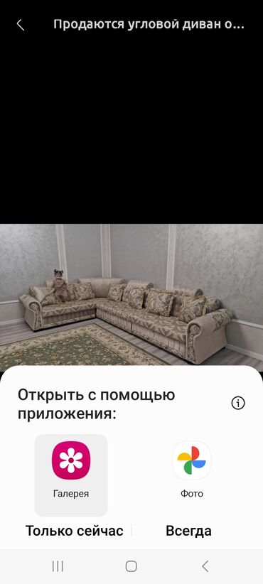 фруктовые корзины: Угловой диван, C подушками