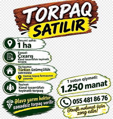 100 sot, Kənd təsərrüfatı, Kupça (Çıxarış)