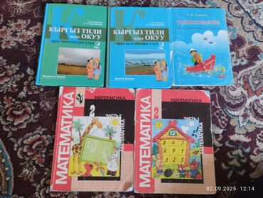 книга для чтения 4 класс озмитель е е власова и в: Кыргызский язык, 2 класс, Б/у, Платная доставка