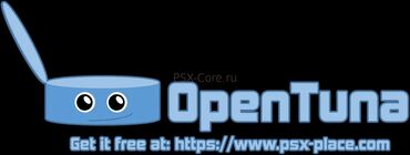 плейстейшин 1: На Playstation 1 и Playstation 2 запись на флешку на диск 200 видов