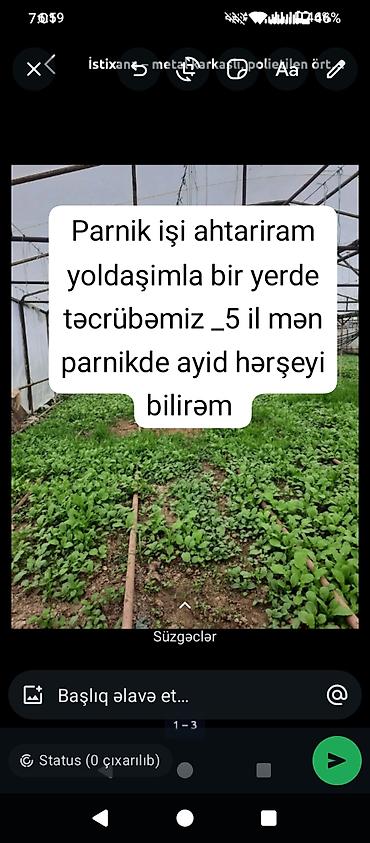 evden iş ilanları: Fermer, 5 ildən artıq təcrübə — 1