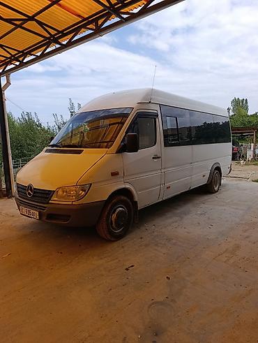 vip bus: Mercedes-Benz Sprinter двухскатный пассажирский микроавтобус - — 2