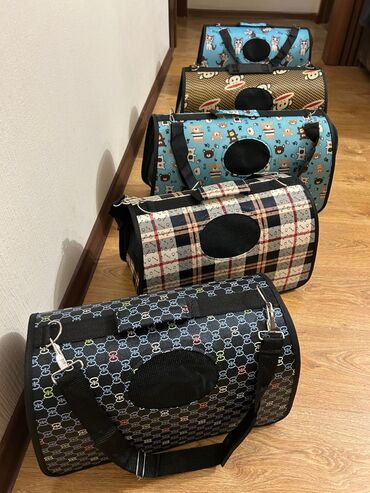 шотландская мраморная кошка: Сумки новые переноски для кошек и собак мелких пород. Есть много
