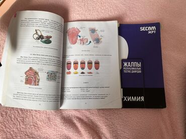 Подготовка к ОРТ: Цены по 150-300 — 5