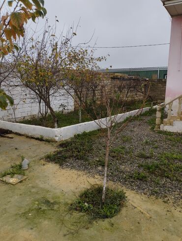 Torpaq sahələrinin satışı: 3 sot, Tikinti, Mülkiyyətçi, Müqavilə -da lalafo.az — 4 Torpaq sahələrinin satışı: 3 sot, Tikinti, Mülkiyyətçi, Müqavilə — 4