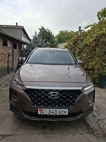 Hyundai Santa Fe: 2019 г., 2 л, Автомат, Бензин, Кроссовер