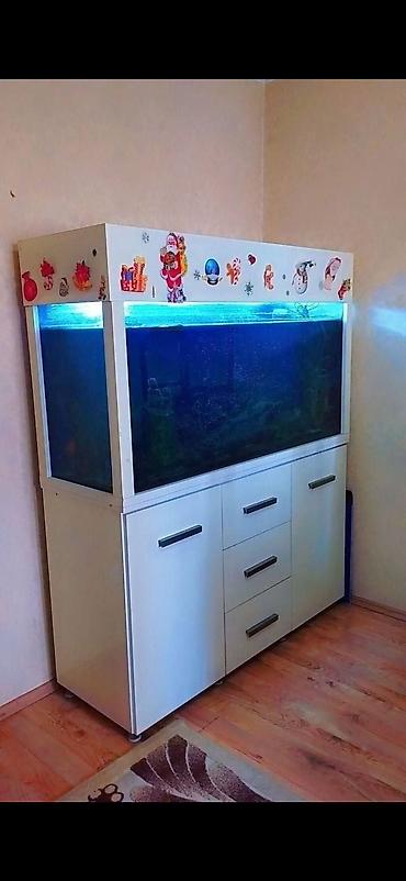 akvarium gəncə: Akvarium-şkaf, Boş, 600 l, Ünvandan götürmə — 1