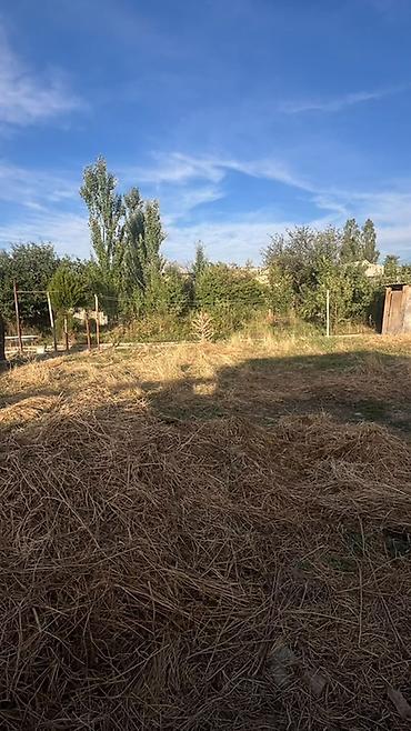 vip: 8 соток, Красная книга — 1