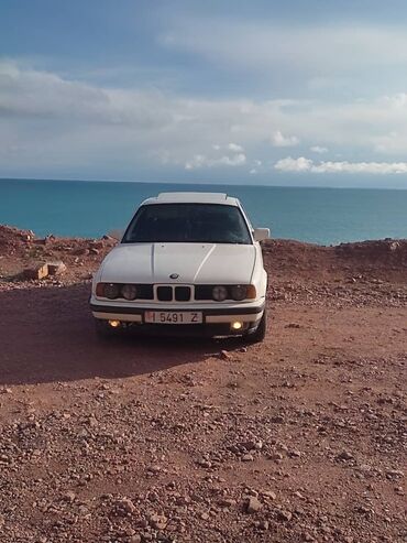 краска для автомобилей: BMW 520: 1990 г., 2 л, Механика, Бензин