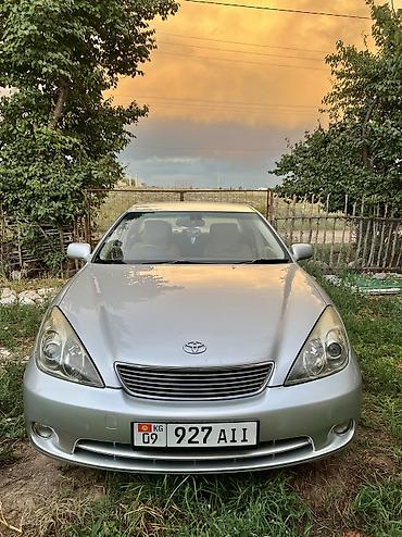 vip razbor: Toyota Windom: 2004 г., 3 л, Автомат, Бензин, Седан — 2