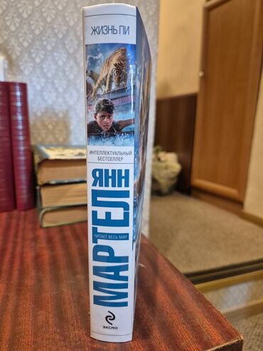 fəlsəfə: Yan Martel tərəfindən yazılmış "Pi-nin Həyatı" adlı kitab. Bu