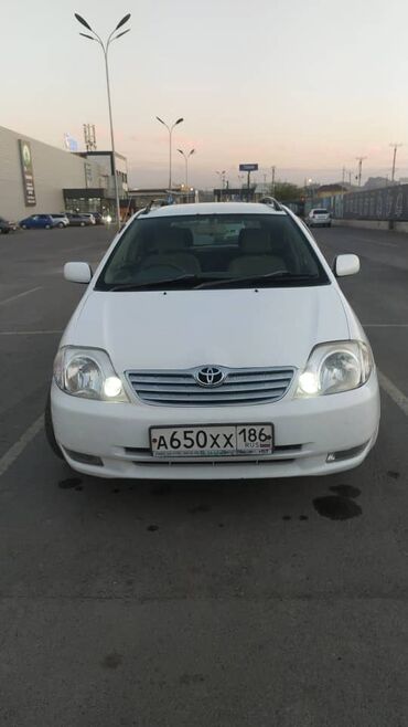 Toyota: Toyota Corolla: 2000 г., 2.2 л, Автомат, Дизель, Универсал