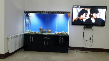akvarium 90x40x50: Her òlcùde akvarium sifarişi