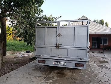 Ford: Ford Transit: 1999 г., 2.5 л, Механика, Дизель, Бус — 9