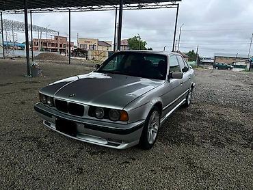 бугатти широн цена: BMW 5 series: 1994 г., Механика, Бензин — 5