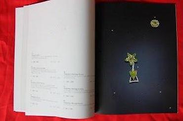 Sličice i albumi za sličice: DOROTHEUM, JUWELEN, 7.10.2005. | Aukcioni katalog Dorotheum — 22