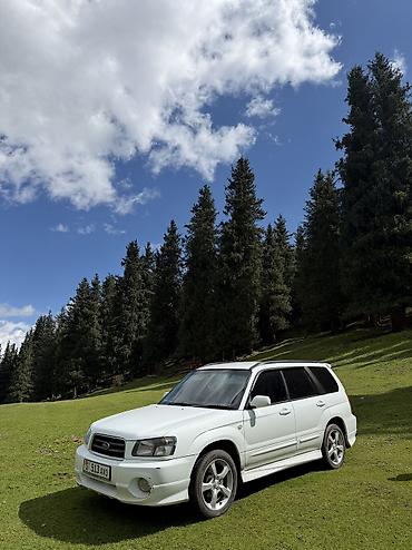 субару легасий: Subaru Forester: 2003 г., 2 л, Автомат, Бензин, Кроссовер — 1
