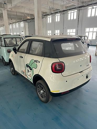 Microcar: Microcar : 2026 г., Электромобиль, Минивэн — 7