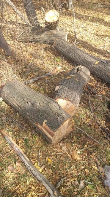 телевизор и тумбочка: Дрова