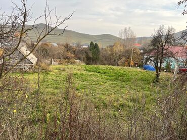 Torpaq sahələrinin satışı: 20 sot, Kupça (Çıxarış) — 7