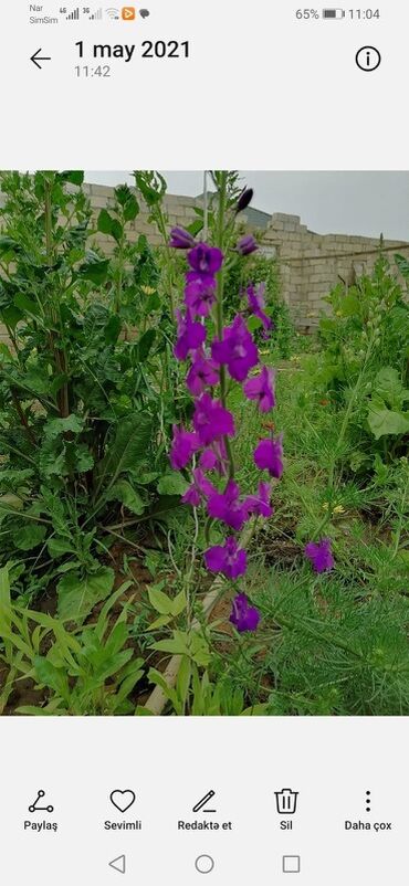 Həyət evləri və villaların satışı: Geniş iki mərtəbəli fərdi yaşayış evi - Ümumi layihə: böyük həyətyanı — 7