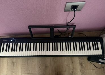 Milli musiqi alətləri: Piano, Roland, Rəqəmsal