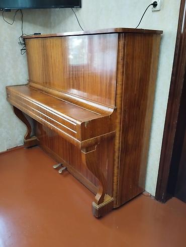 elektro gitara satisi: “Rostov-Don” şaquli pianino - Korpus: təbii ağac fanerli, parlaq lak — 3