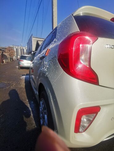 Kia: Kia Picanto: 2017 г., 1 л, Автомат, Бензин — 7