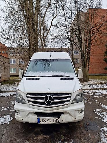 vip bus: Mercedes-Benz Спринтер: 2008 г. — 3