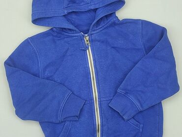 Sweatshirts: Sweatshirt, Next, 3-4 years, 98-104 cm, condition - Good