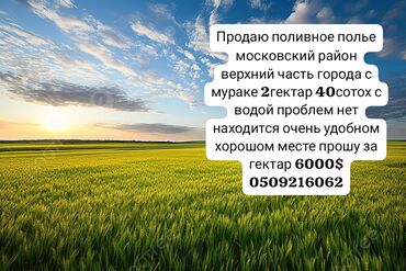 продается орошаемая земля в жайылско районе алтыр будёновка 5 40 гектар цена договорная с довой проблем нету оформление сразу: 240 соток, Айыл чарба үчүн