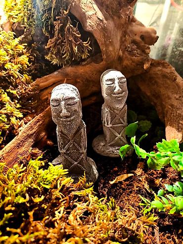 Зоотовары: 🌿 Украшения и декорации для аквариумов и террариумов 🌿 Продаю — 10