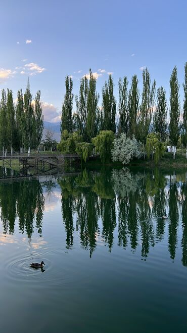 Иссык-Куль 2025: Номер, Усман. Чолпон-Ата, Охраняемая территория — 9