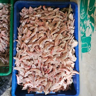 мясо бролеров: Продаю кончики от куриных крыльев. 10 сом за кг. Доставка от 50 кг