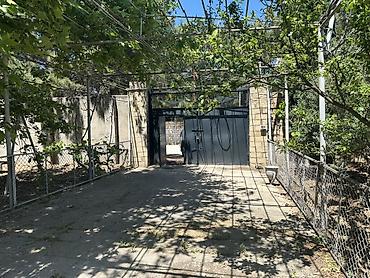 Torpaq sahələrinin satışı: Kənd təsərrüfatı, Kupça (Çıxarış), Texniki pasport — 14