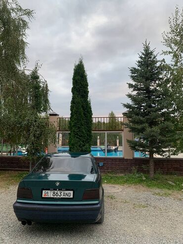 бмв х5 не растаможен: BMW 3 series: 1993 г., 1.8 л, Механика, Бензин, Седан