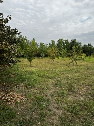 Torpaq sahələrinin satışı: 12 sot, Tikinti, Mülkiyyətçi, Kupça (Çıxarış) -da lalafo.az — 8 Torpaq sahələrinin satışı: 12 sot, Tikinti, Mülkiyyətçi, Kupça (Çıxarış) — 8